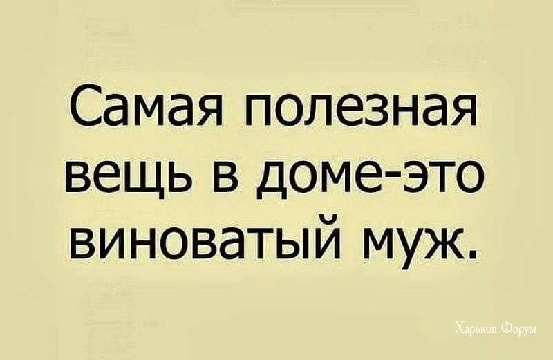 c9215c20cd12c0d3e2725.webp
