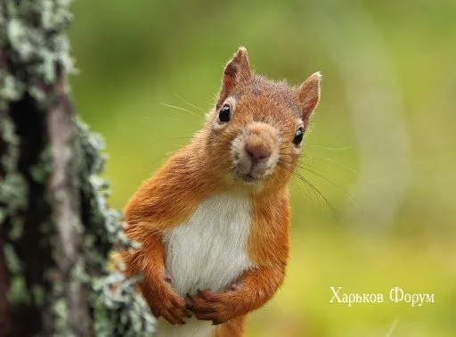 c926b15e18384162.webp