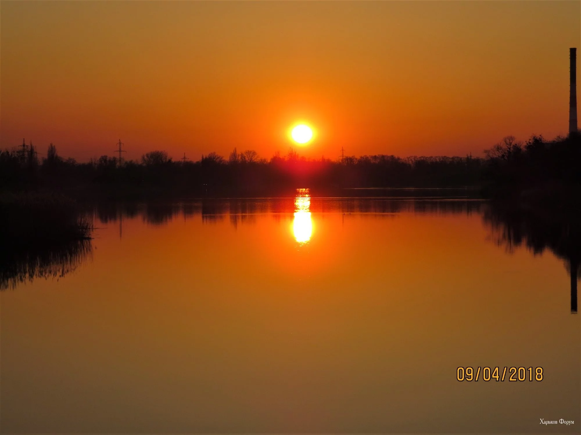 c92e6368c17dd362512.webp