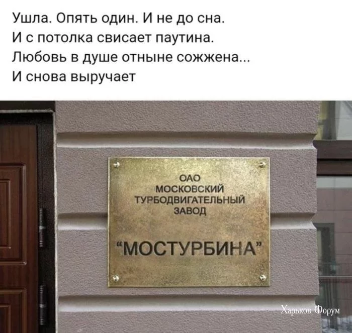 c9679c9199b8d0b5bcd3474.webp