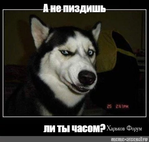 c96916ce171a813da93f54ce.webp