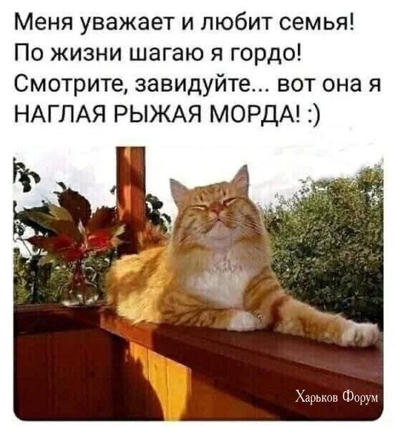 c98a7e96b1ae03cd8.webp