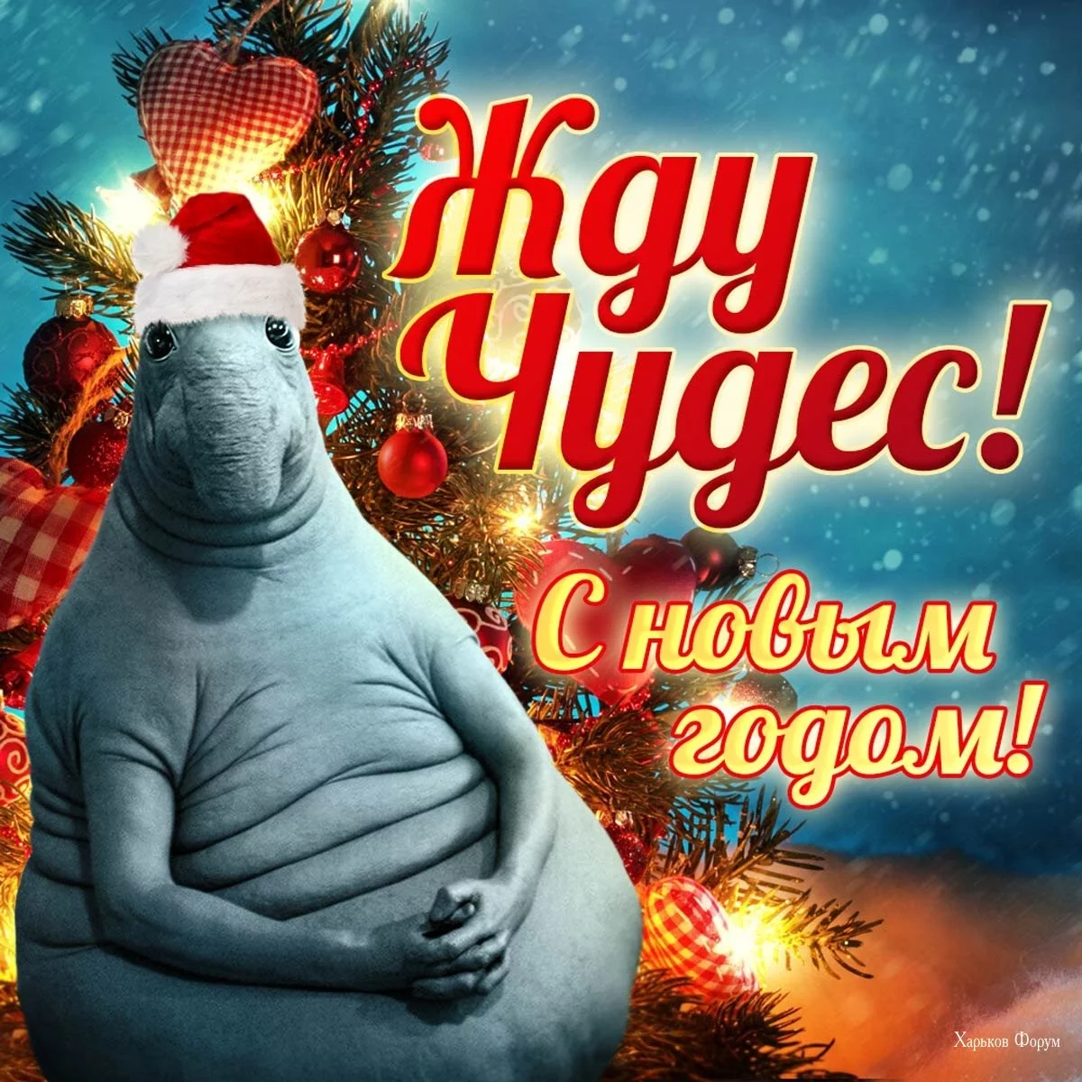 c999938b906add230e2786b3.webp
