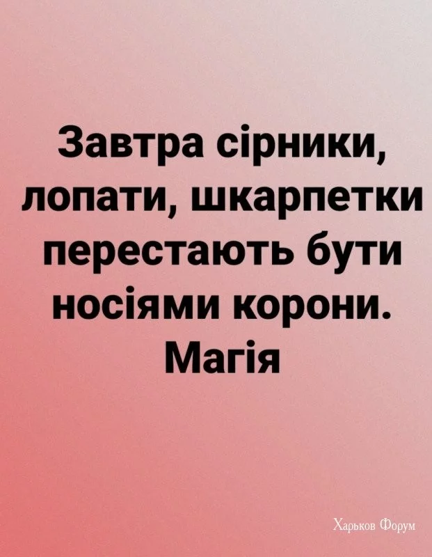 c9a1998d3e5e30f747.webp