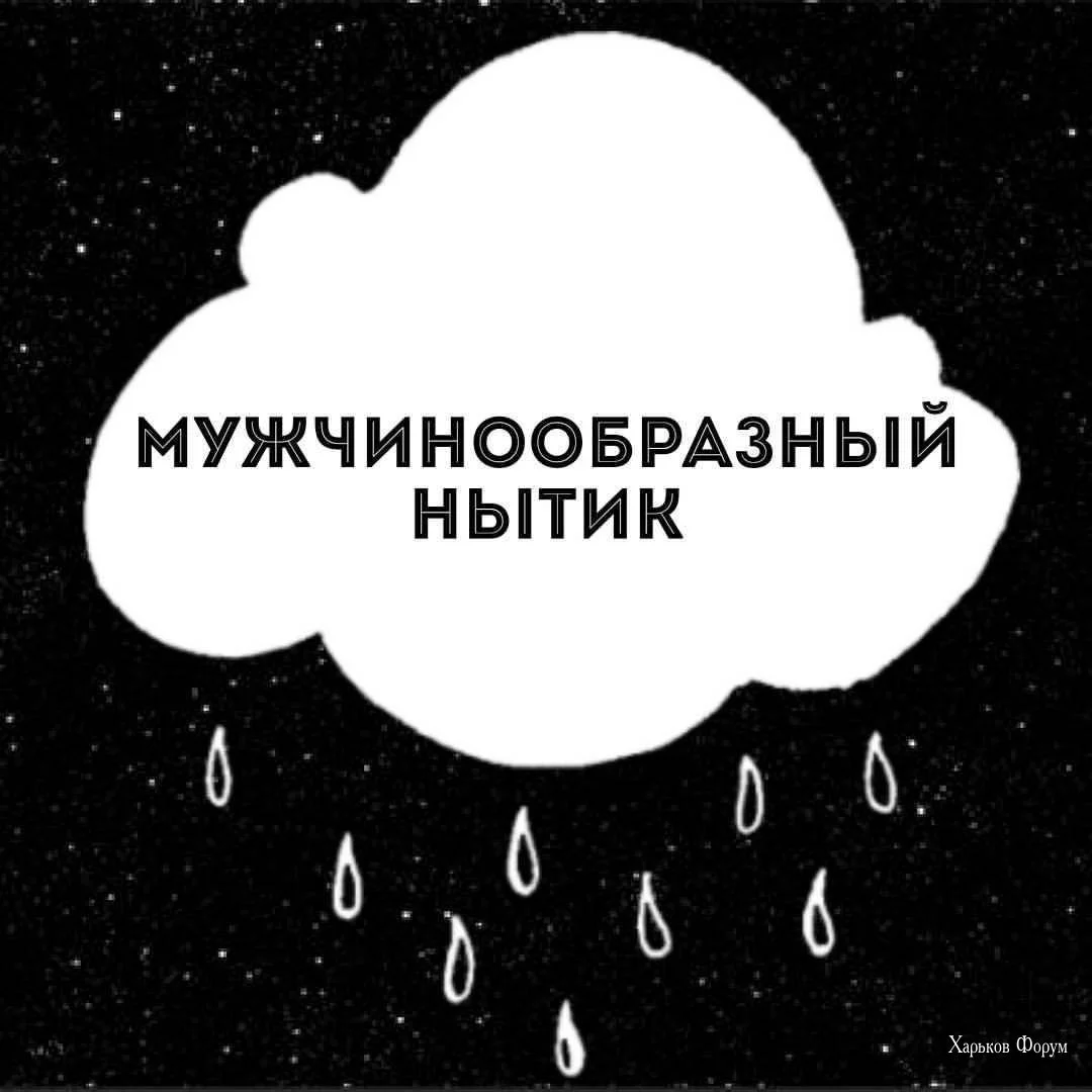 c9a5a46c8bd48c90.webp