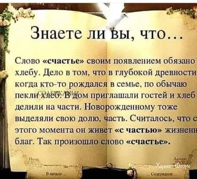 c9b25a293b2850830a066b.webp