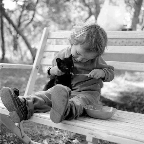 c9behg.webp
