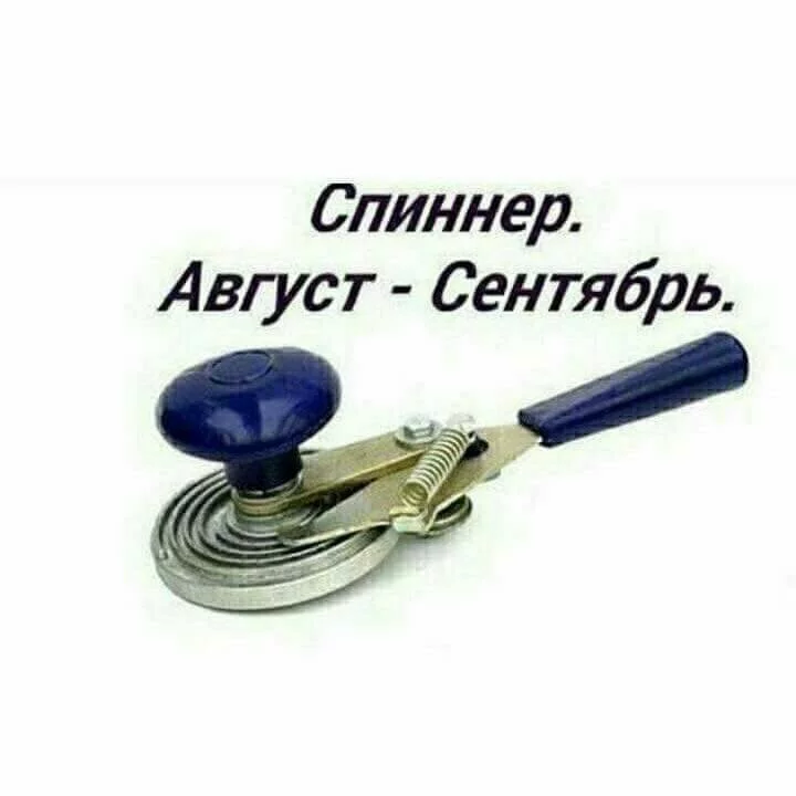 c9ceab.webp