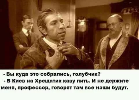 c9cgbc.webp