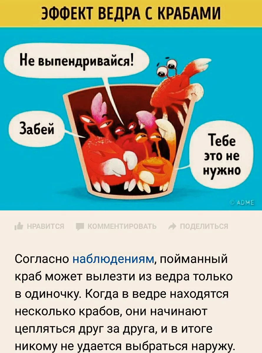 c9dbcc.webp