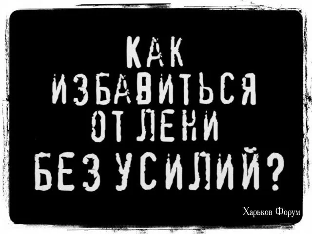 c9dfce1b4fbab7d324181e6.webp