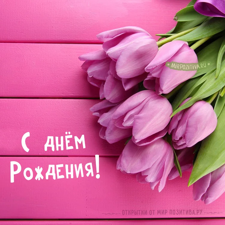 c9ejbj.webp