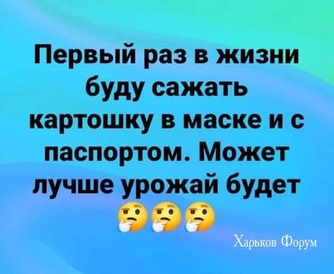 c9f19016b45d36d72a48.webp