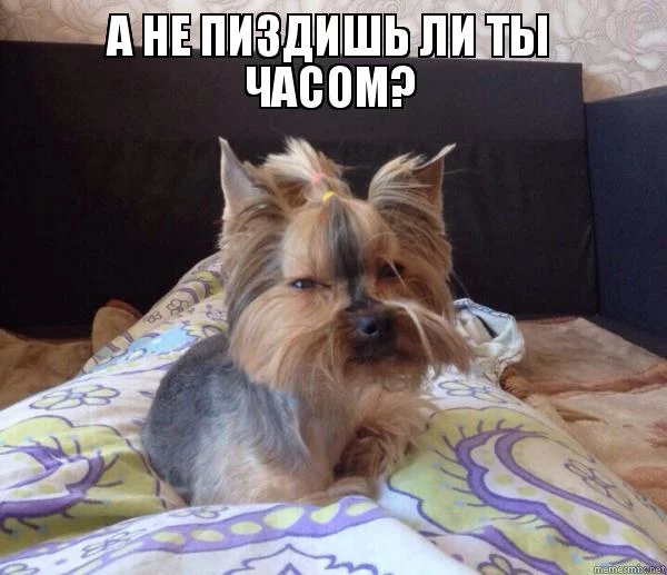c9hajh.webp
