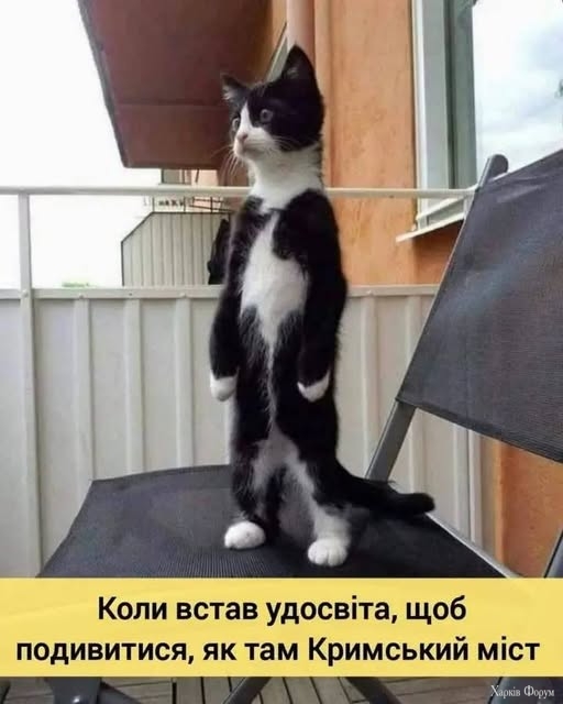 c9Rbuh6ecGOcElOg&_nc_zt=23&_nc_ht=scontent.fdnk1-4.jpg