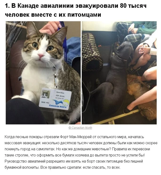 C_dmNH26pfY.webp