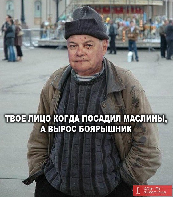 C_rugDWXUAArTWC.jpg