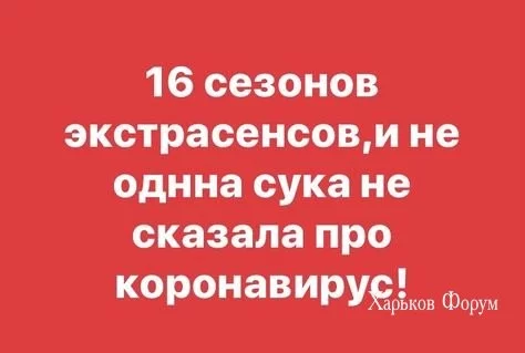 ca141b763086663b0bce.webp