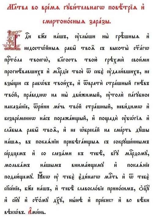 ca33ab564a3afcc9.webp