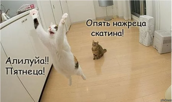 ca3jda.webp