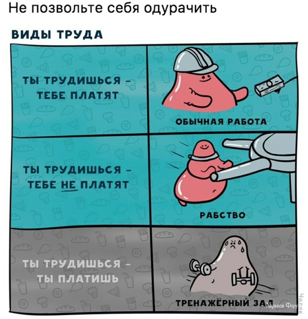 ca4d7dd826ee6ca5eb97f2b.jpg