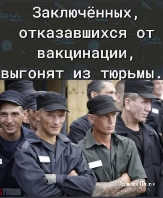 ca502f86cf9de461.webp