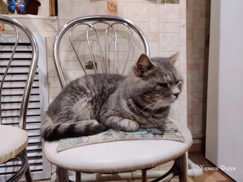 ca51fd1d2582166eb29d.webp