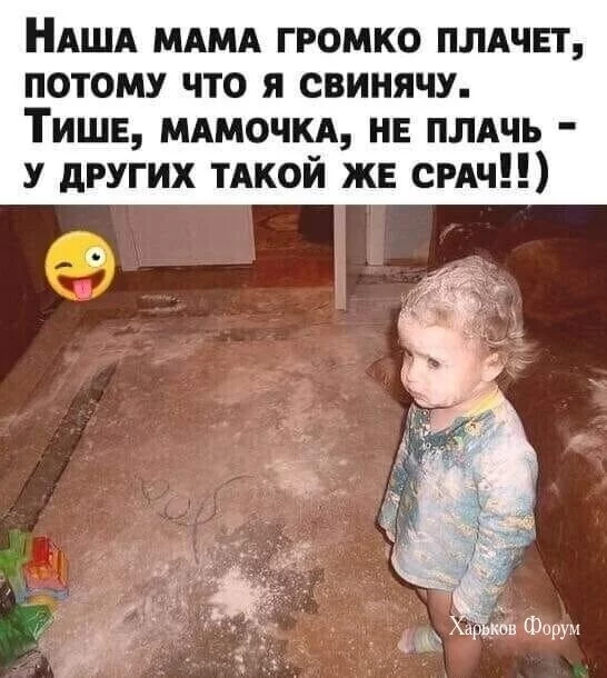 ca5287f4cee7f09fb44a94.webp