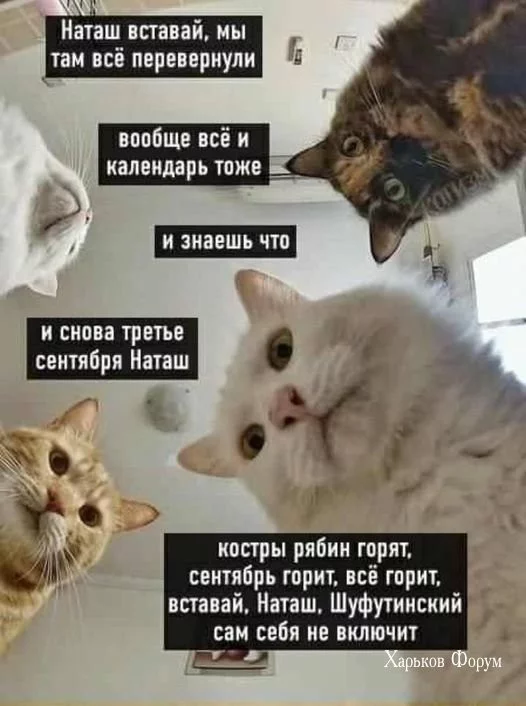 ca5b0325dd10c230e55.webp