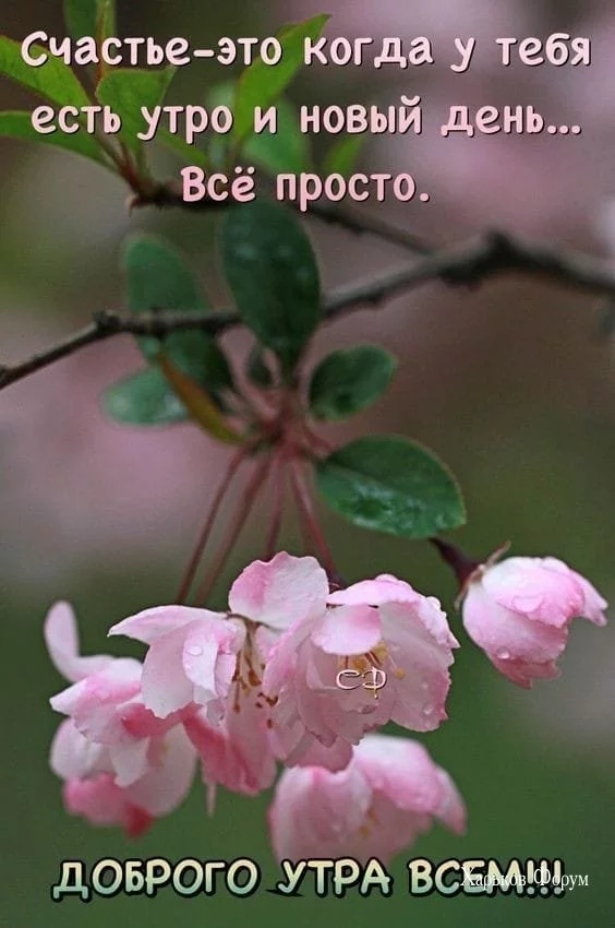 ca5f4561324abc5e.webp