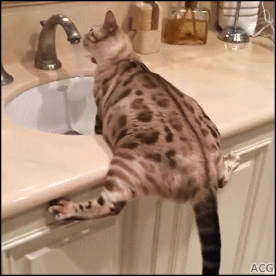 ca636eec7adbf5975dc6f0.gif