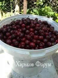 ca67de06ce92dbdb0d67f06.webp