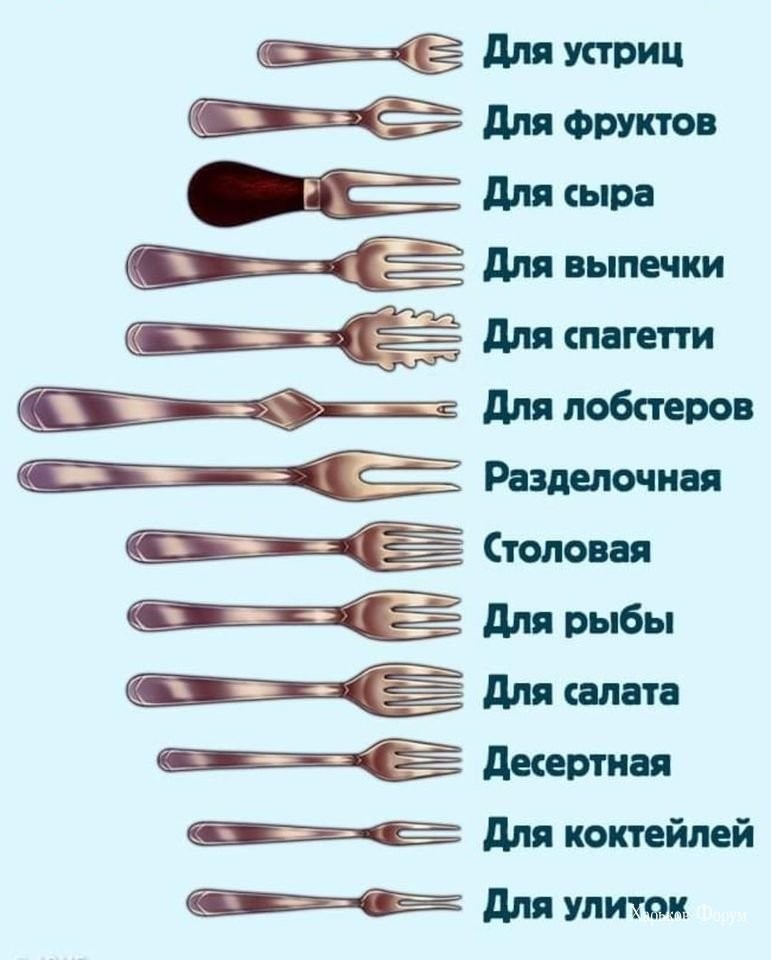 ca92d713fbed7f69d864ba.jpg