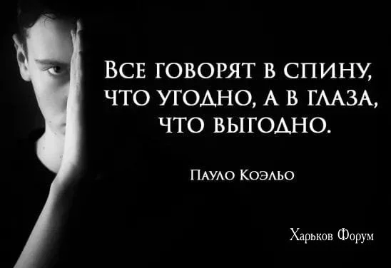 ca93ac6323875ee4e.webp