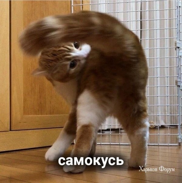 ca968e4cdb86c2e7e8.jpg