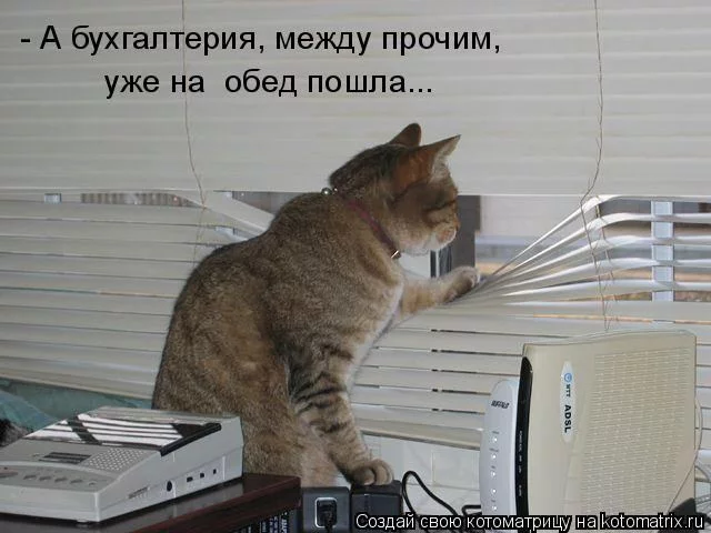 caa2ca.webp