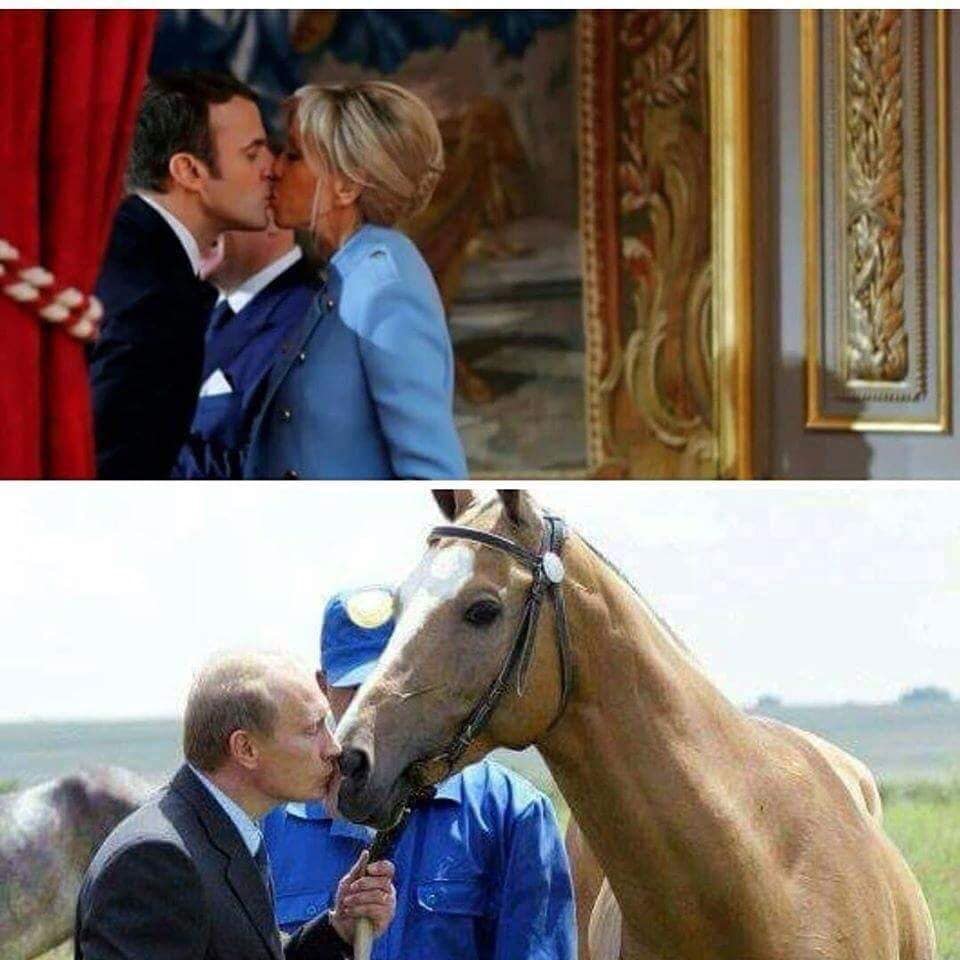 caagj7.jpg