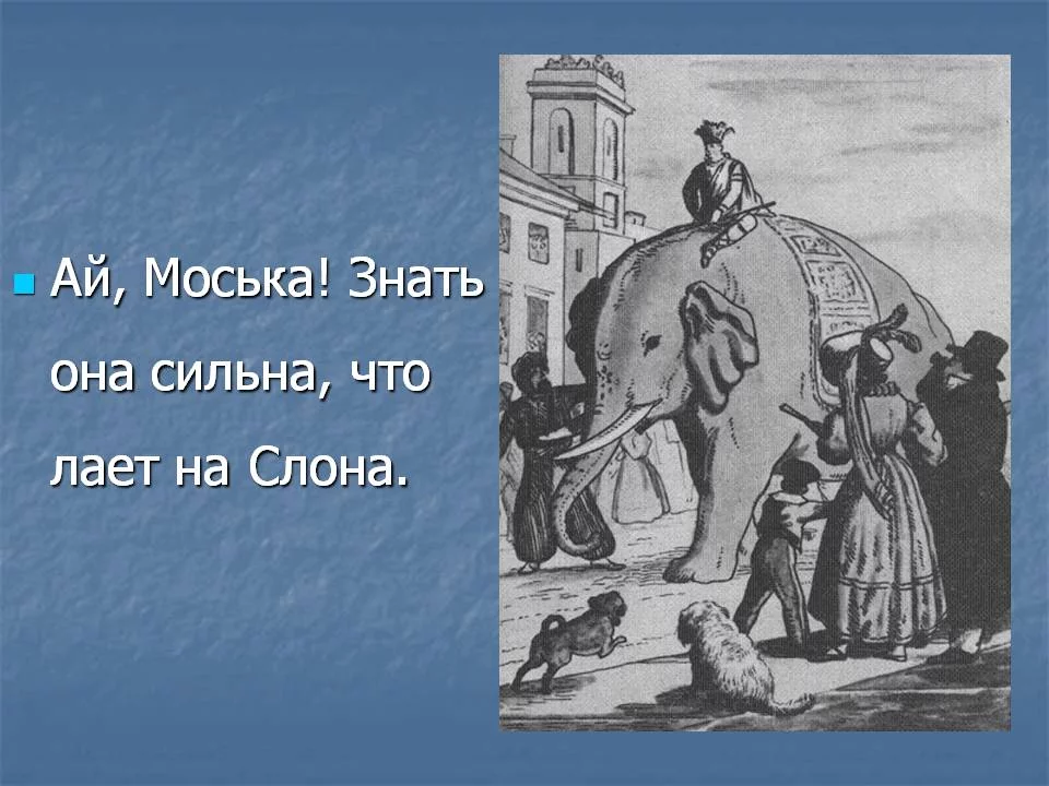 cab6gh.webp