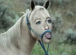 cabf3e.webp