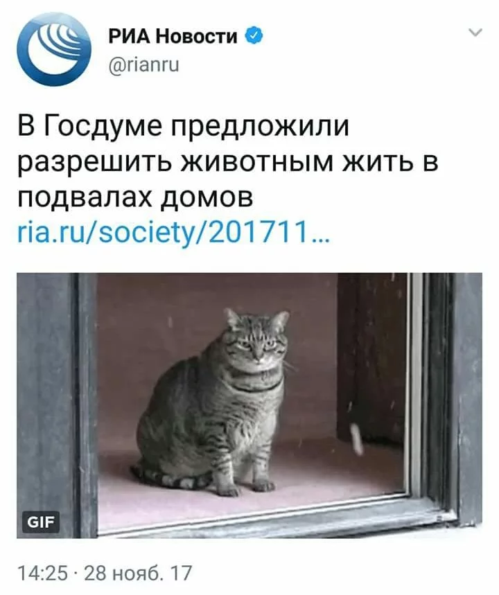 cacgj6.webp
