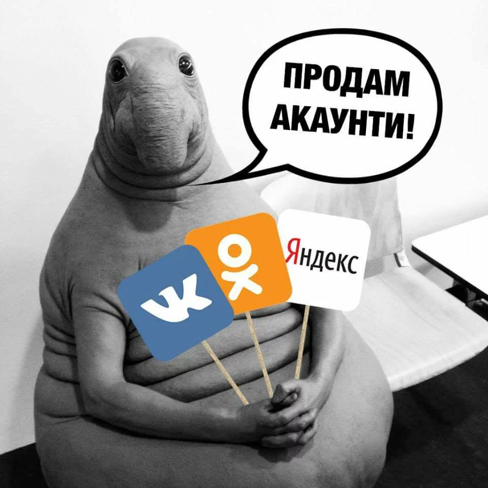cad4hb.webp