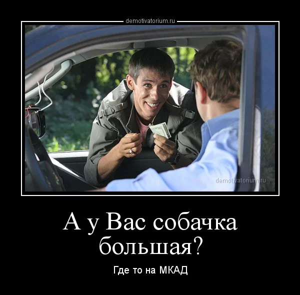 cadf0g.webp