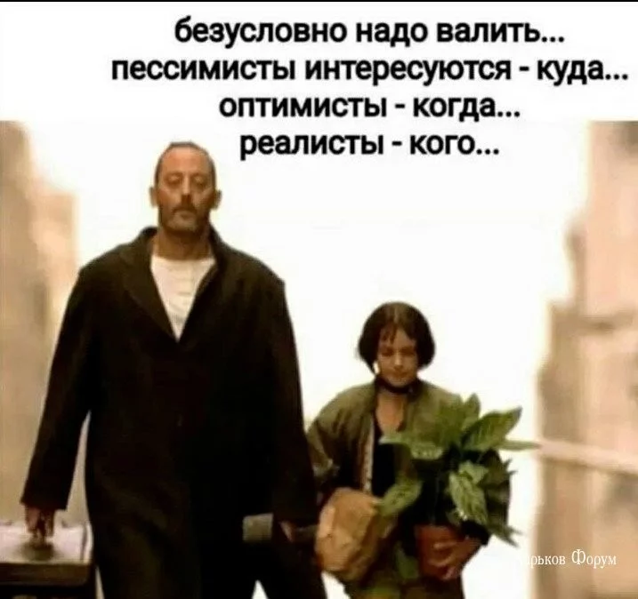cadf908bc80bf337b44b375.webp