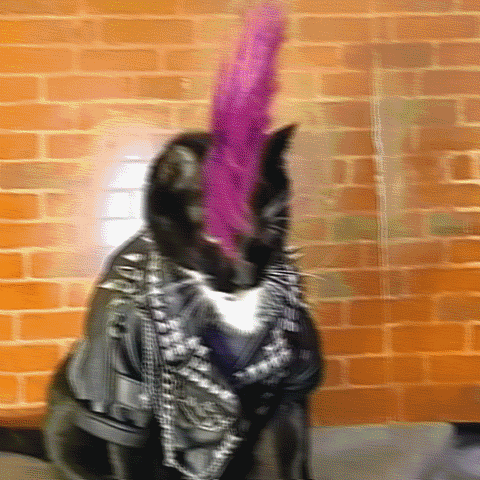 cae230e42b368ecbda.gif