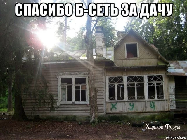 cae9ae2b2828803e3e31019.webp