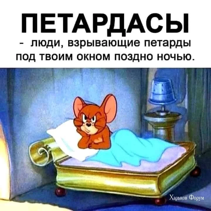cafad664e4dc7f9acd8.webp