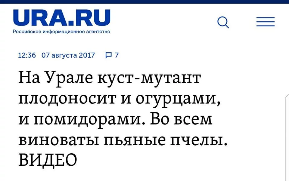 cagjb6.webp