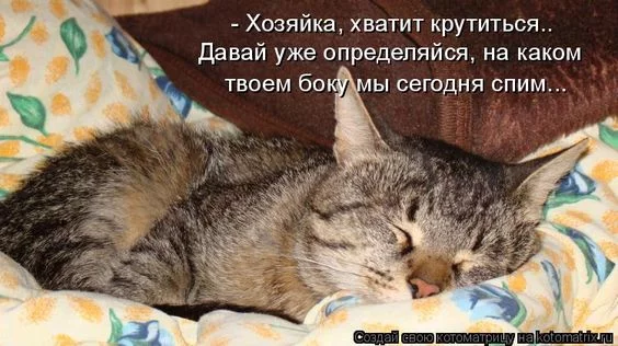 cahg1h.webp