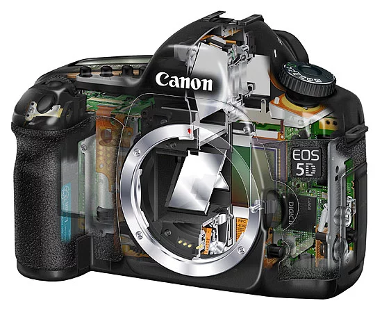canon_5d_04.webp