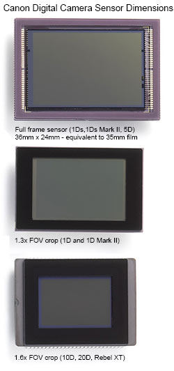 canonsensors.jpg